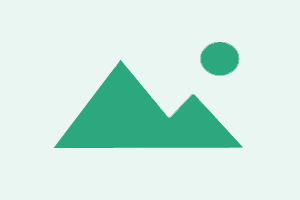 Zhizhen Schematics Activation (2 User / 6 Months)